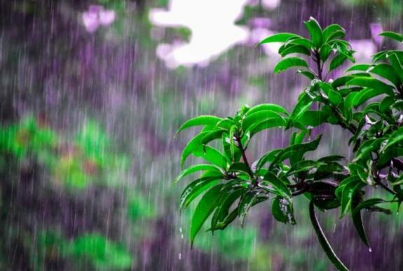 Ilyen lesz az időjárás a következő két hétben