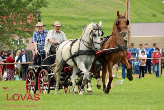 A Csíkszentdomokosi Lovasnapok kilencedik kiadását tartják a hétvégén