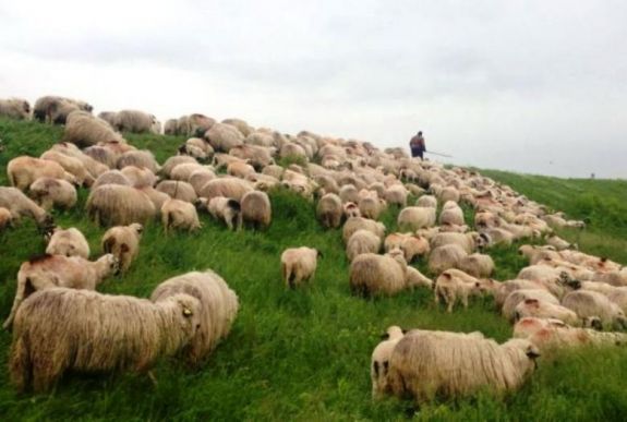 Minden évben egy hónappal korábban kezdődik a vakáció ezeknek az iskolásoknak