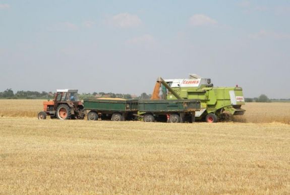 Tavaly több mint 12 millió tonna gabonát exportáltunk