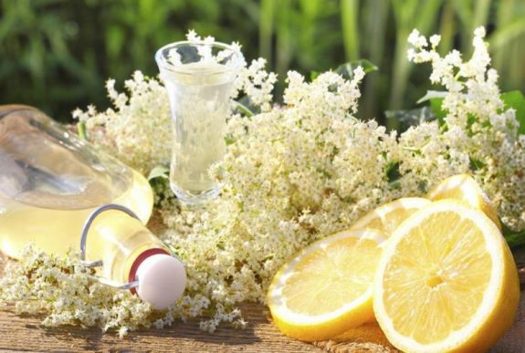 Gyerekkorunk ízei – így készül a bodzaszirup és a bodzamártásos csirkemell