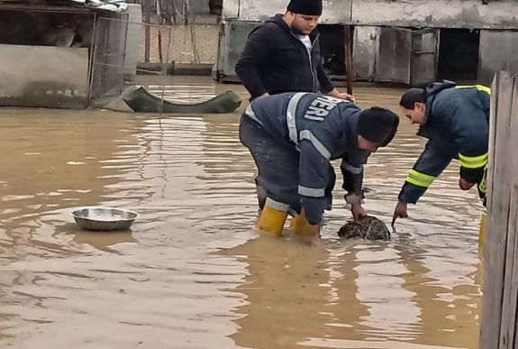 Elsőfokú árvízriasztást adtak ki 19 megyére