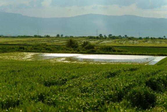 Háromszáz hektárnyi belvizes terület okoz gondot Hargita megyében