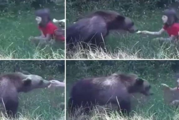 Medveetetés lájkokért: „Az emberek nem fogják fel, micsoda ereje van egy 2-300 kilós nagyvadnak”