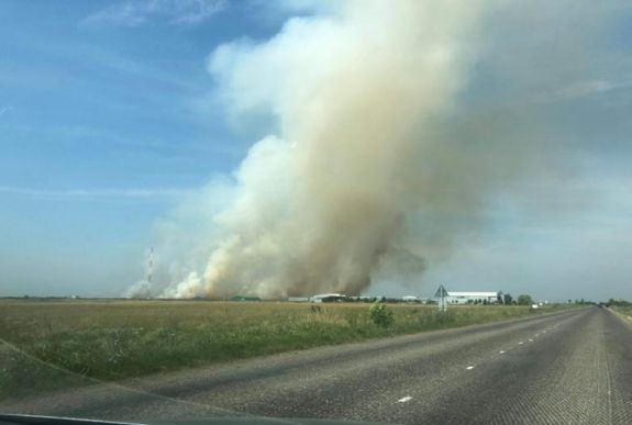 Több mint negyven hektáron ég a száraz növényzet Temesvár mellett