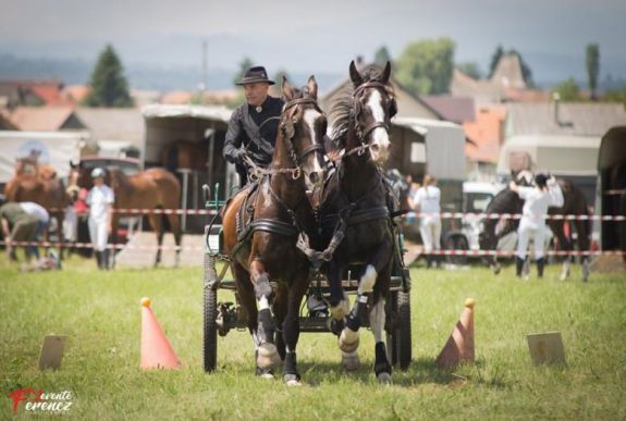 Ismét megszervezik a Székelyföldi Lovas Ünnepet Gyergyószentmiklóson