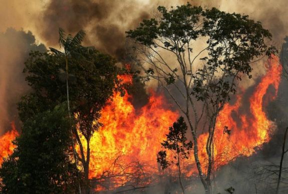 Rekord számú erdőtüzet észleltek az Amazonas vidékén