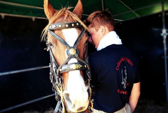 Huszárok, csikósok, lovak nyelvén beszélők – belestünk a Székelyföldi Lovas Ünnep kulisszái mögé is 
