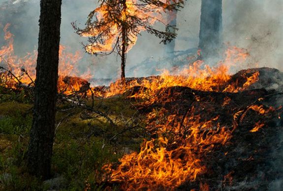 Fiatal erdélyi alkotók Faust-feldolgozásával nyit évadot az Andrei Mureșanu Színház