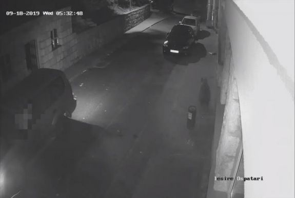 Szétverték a medvék a bálványosi szálloda egy részét