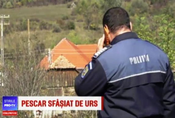 Egy anyamedve megölte a nyárádmagyarósi jegyzőt