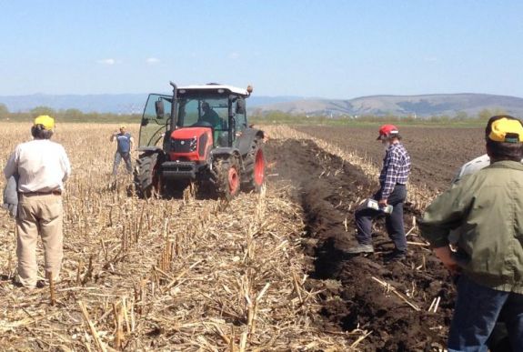 Hamarosan a gazdák nagy része megkapja a mezőgazdasági támogatás előlegét
