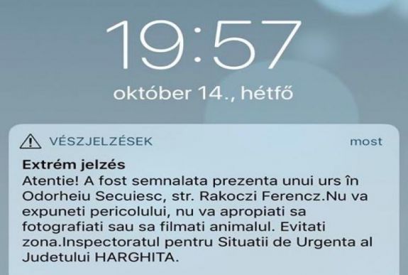 Medve kószált Udvarhelyen hétfő este