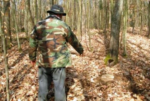 FRISSÍTVE - Megöltek a fatolvajok egy erdészt Máramaros megyében