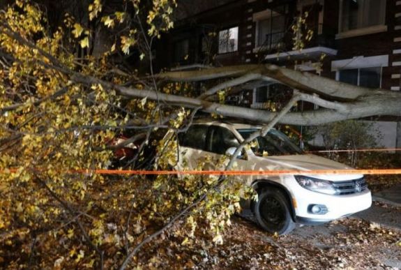 Vihar pusztított Kanadában, hárman meghaltak