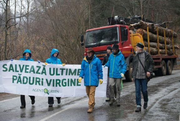 Utcára vonulnak a romániai erdőkért és erdészekért
