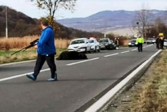 Szenvedni hagyott medve ügye: meghívták a minisztert Csíkszeredába