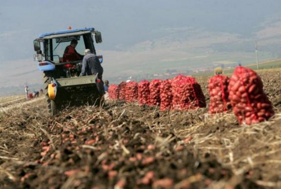 Csak az első negyedévre fizették ki a gazdáknak az idei gázolaj-támogatást