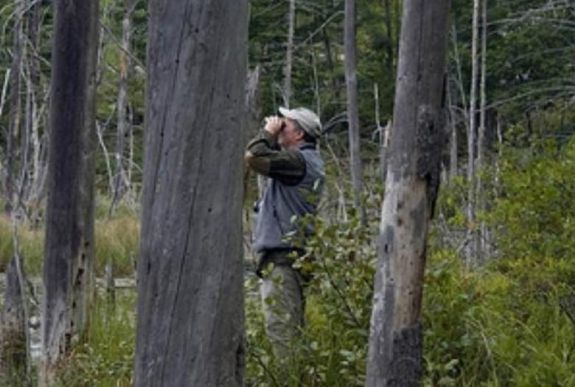 Hivatalos: éles fegyverekkel védekezhetnek ezentúl az erdészek