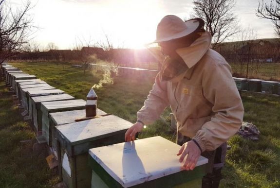Gyermekkori álmát valósította meg: szülei nyomdokába lépve bioméhészetet hozott létre Nyárádremetén