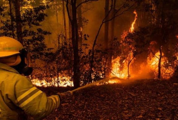 Sztárok és hírességek fogtak össze az ausztrál bozóttüzek áldozataiért