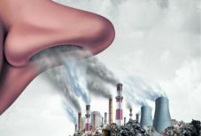 Hogyan befolyásolja a légszennyezés és a klímaváltozás a légzőszervi allergiás megbetegedéseket?