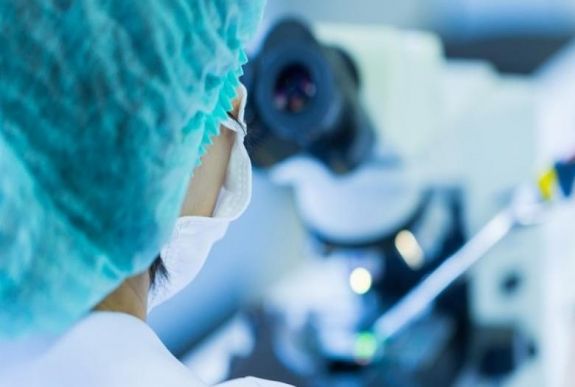 Három magyar dolgozik a Japán mellett karanténba helyezett hajón