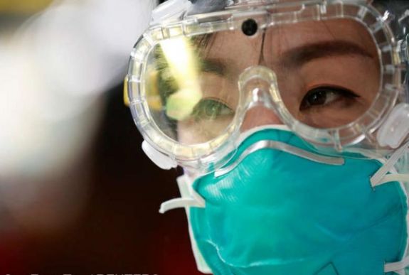 Szakértő: valószínűleg a tobzoska közvetítésével terjedt át a koronavírus állatról emberre
