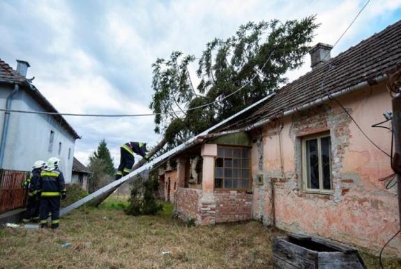 Háztetőket bontott meg, fákat döntött ki a Ciara Magyarországon