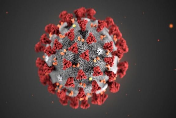 Szakértő: a világ népességének 60 százalékát is megfertőzheti a koronavírus