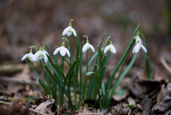 Ilyen lesz az időjárás a következő két hétben