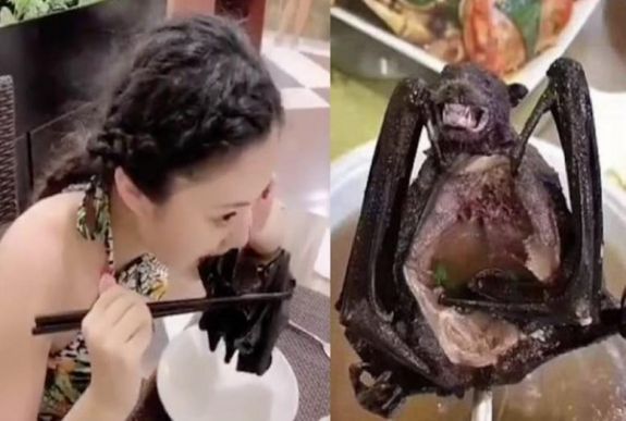 A koronavírus veszélye se riasztja el a kínaiakat az egzotikus állatok fogyasztásától?