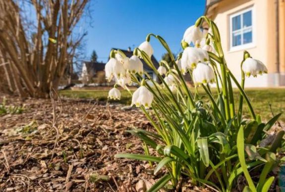 Biztatóan alakul az erdélyi időjárás a következő két hétben
