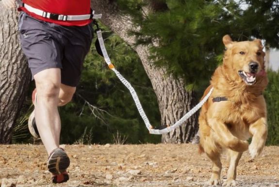 Belügyminiszter: mégsem kell lakhelyelhagyási nyilatkozat a testmozgáshoz és kutyasétáltatáshoz