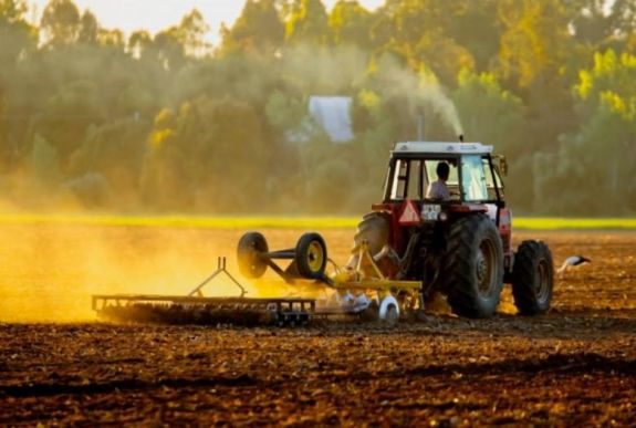 Közel 53,5 millió eurót fizettek ki a székelyföldi de minimis mezőgazdasági programban