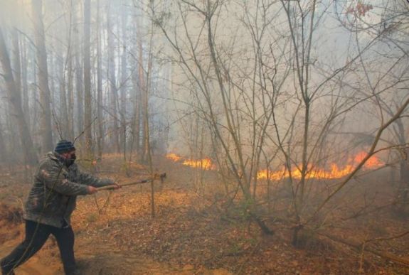 Ismét kiújultak az erdőtüzek a csernobili zónában