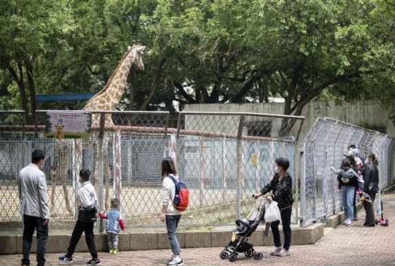 Elhagyta a kórházat az utolsó fertőzött páciens a közép-kínai Vuhanban