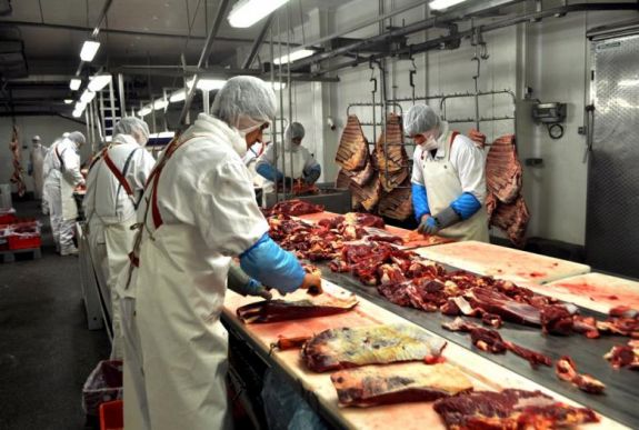 Tömegesen fertőződtek meg romániai vendégmunkások Hollandiában