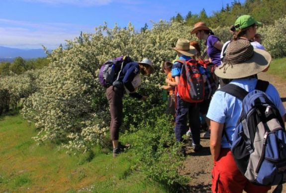 Kirándulhatunk a hegyekben május 15-től? Vela szerint igen, Orban szerint nem
