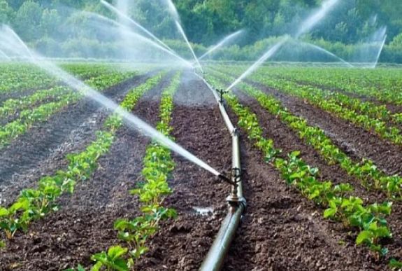 Szükségállapot: díjmentesen használható mezőgazdasági öntözésre a talajvíz
