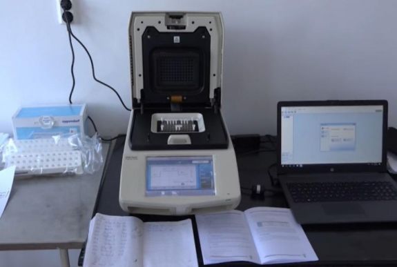 Koronavírus Hargita megyében: nincs már igazoltan fertőzött személy Csíkszeredában