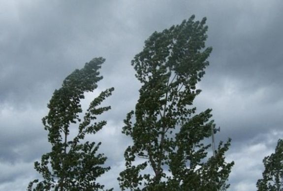 Erdély nagy részén erős szélre figyelmeztetnek a meteorológusok
