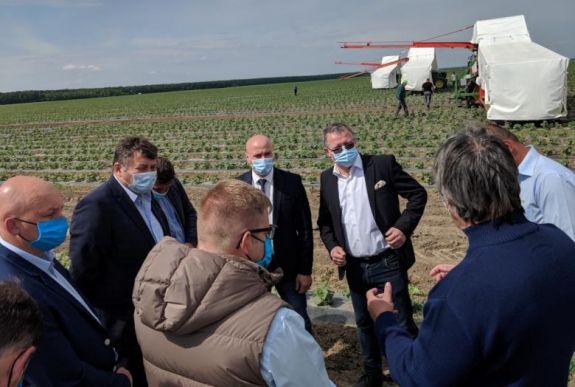 Támogatja az állam a napszámosokat és idénymunkásokat foglalkoztató gazdákat