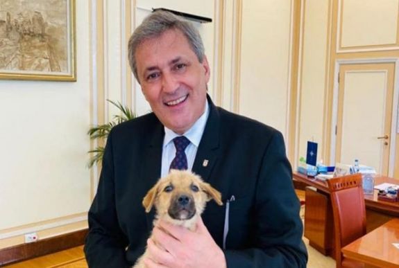 Belügyminiszter: állatvédelemmel foglalkozó osztállyal bővülhet a rendőrség