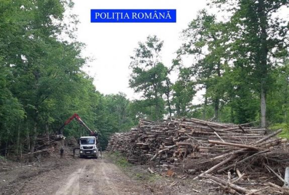 Környezetvédelmi ügyészség létrehozásáról döntött a parlament