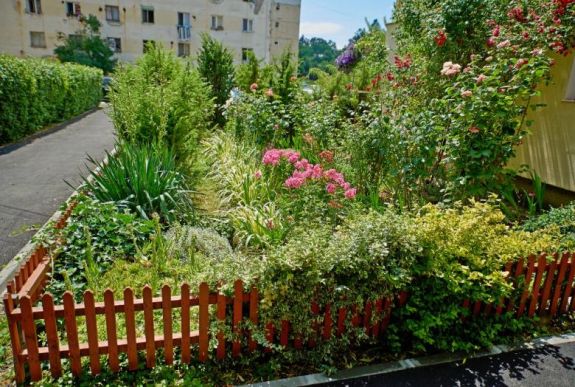 Díjazzák Sepsiszentgyörgy legszebb lakónegyedi zöldövezeteit