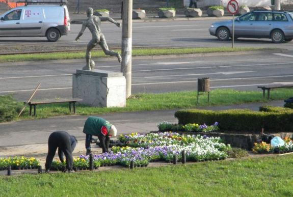 Napszámosokkal végeztethetik el a közterület-fenntartást az önkormányzatok