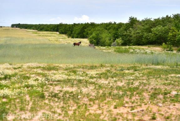 Európa elsivatagosodik: hat uniós ország mellett Romániát is fenyegeti a jelenség