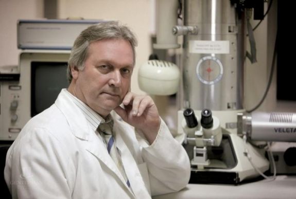 Freund Tamás a Magyar Tudományos Akadémia új elnöke