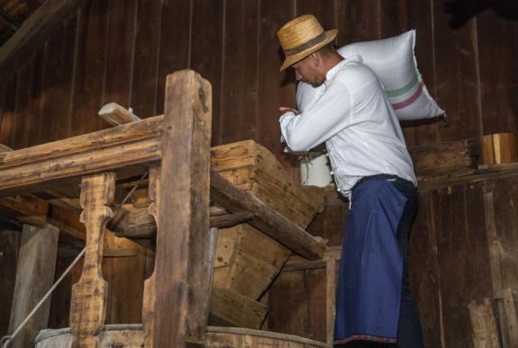 Összeöntötték a Magyarok Kenyerének búzáját